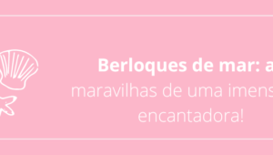 Berloques de mar: as maravilhas de uma imensidão encantadora!