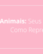 Animais: Seus Significados e Como Representá-los