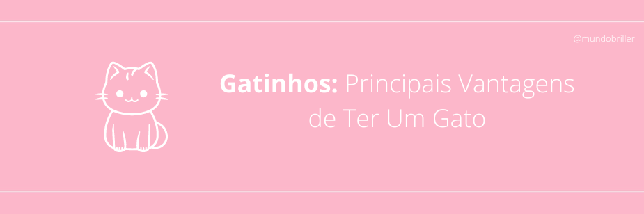 Gatinhos: Principais Vantagens de Ter Um Gato