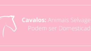 Cavalos: Animais Selvagens ou Podem ser Domesticados?